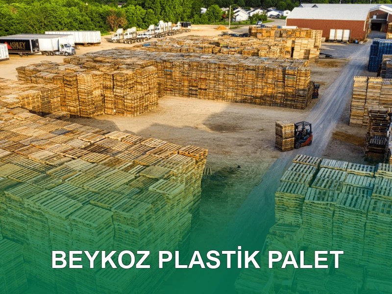 Beykoz Palet Galeri 6