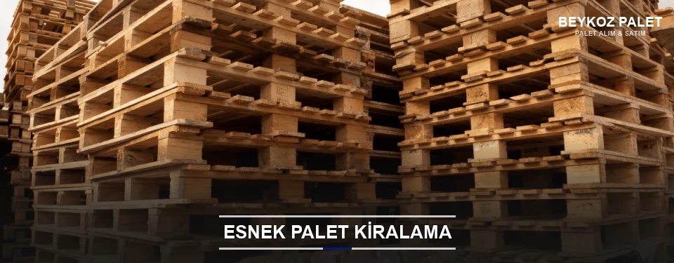 Beykoz Uygun Fiyatlı Palet Kiralama